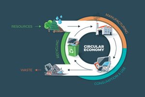 The Circular Economy Approach - Irverde